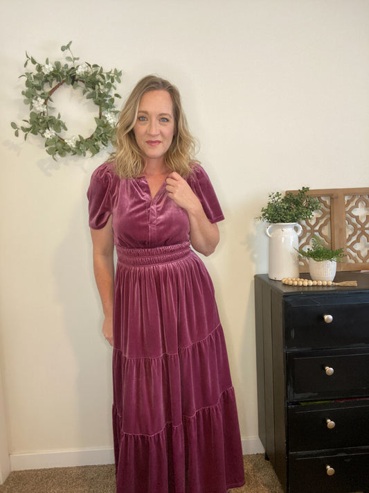 Aurora Rose Velvet Dress