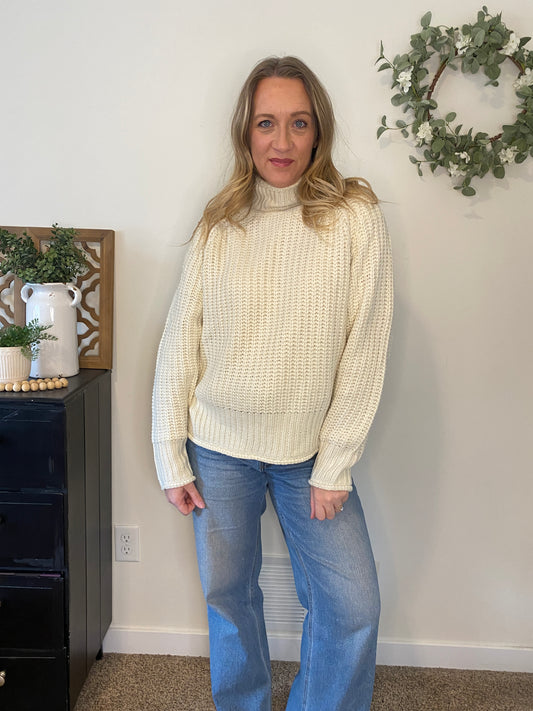 Reese Turtleneck Sweater in Ivory