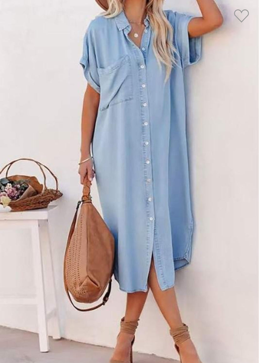 Della Lightweight Denim Dress